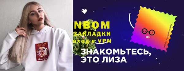 шишки Инсар