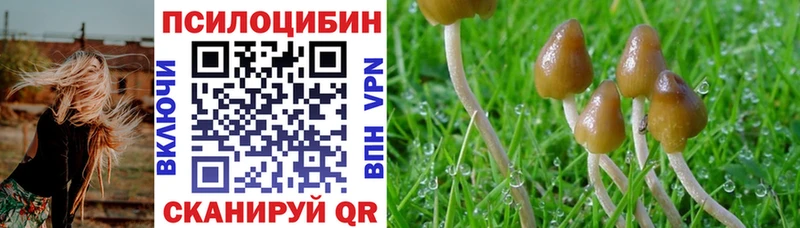 Галлюциногенные грибы Cubensis Красноармейск
