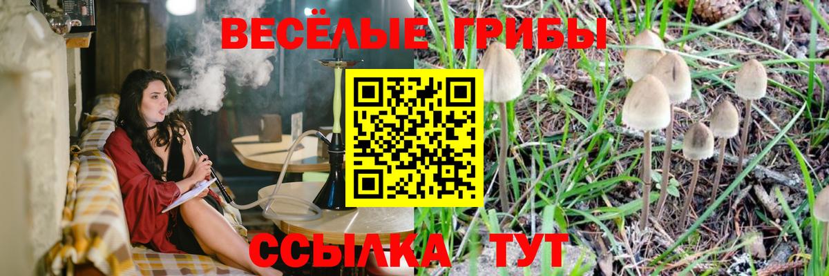 Гашиш Красноармейск
